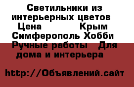 Светильники из интерьерных цветов › Цена ­ 3 000 - Крым, Симферополь Хобби. Ручные работы » Для дома и интерьера   